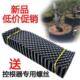 植物控根器厂家直销控根器塑料围槟榔树植树控根器专用围树板园林