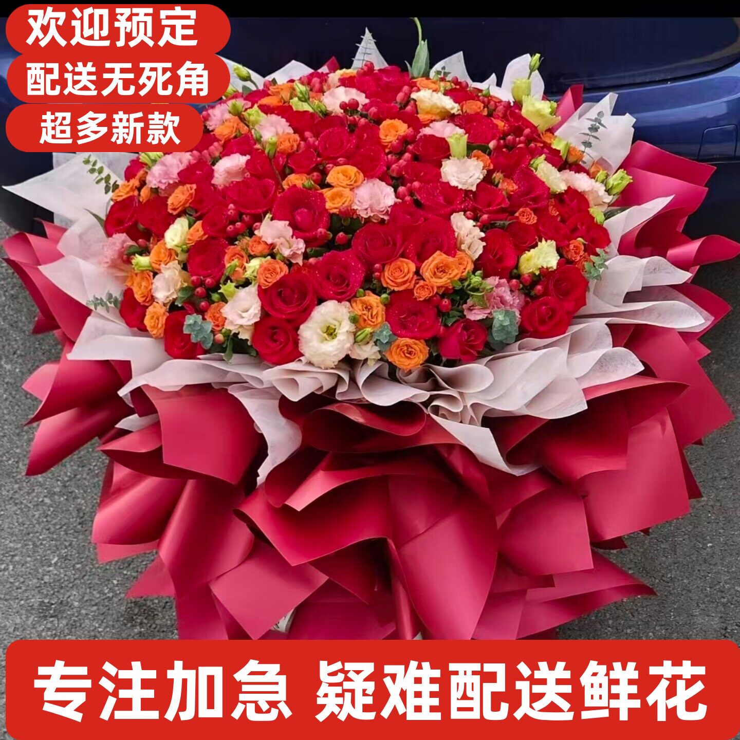 母亲鲜花康乃馨南京栖霞雨花台江宁玄武秦淮建邺鼓楼六合溧水高淳