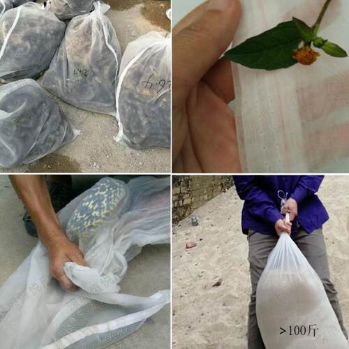 防虫透气晒腊肉袋子多用尼龙网袋
