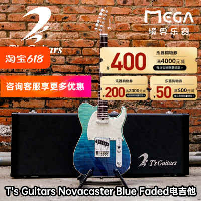 rsquoguitarsstandard电吉他