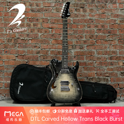 T'sGuitarsDTL电吉他