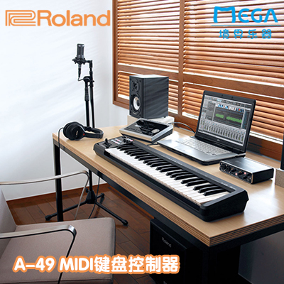 罗兰 Roland Cakewalk A-49 MIDI 编曲键盘 半配