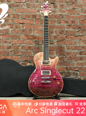 TS Guitars  Arc Singlecut 22 电吉他
