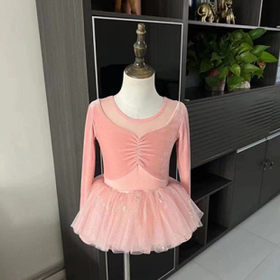 儿童舞蹈服装演出服女童秋季粉色丝绒长袖芭蕾练功服公主韩版纱裙