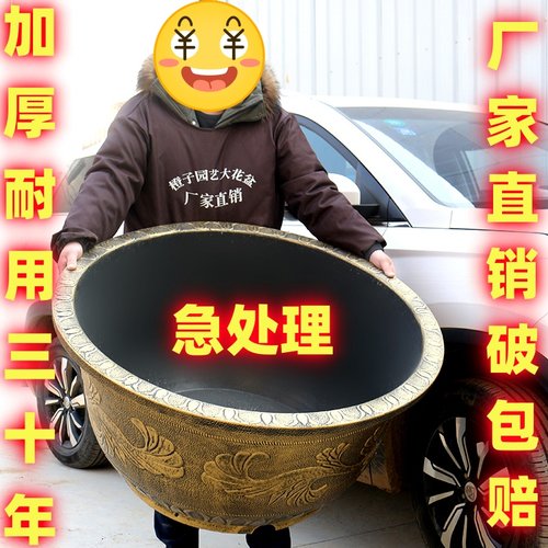 抗氧化抗冻特大号耐用加厚铁树