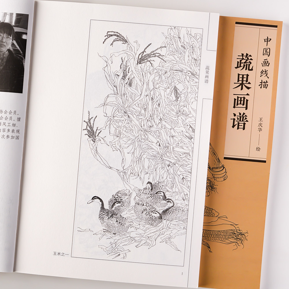 蔬果画谱 中国画线描白描蔬菜水果图谱画集 国画白描底稿图集 中国画线描 蔬果画谱 白描蔬菜水果图谱国画 工笔画白描底稿