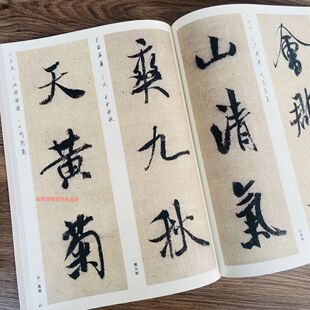 二玄社精选扩大法帖20米芾蜀素帖书法行书毛笔字帖原版碑帖精选