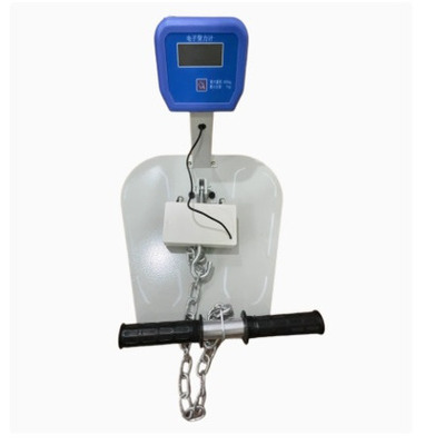 电子背力计 三公牌BCS-400型 背腰肌 功能评估定体质测试康复器材