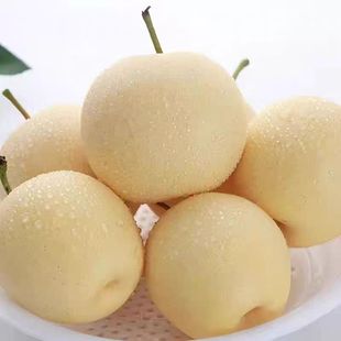 河北皇冠梨当季水果新鲜梨子脆甜多汁鸭梨白梨正宗原产地雪梨特级