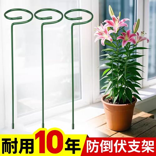 植物防倒伏支架铁艺绣球吊兰支撑