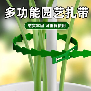 园艺鱼骨扎带植物防倾倒绑带爬藤植物固定神器多功能扎条重复使用
