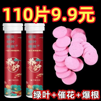 植物营养棒缓释肥料盆栽绿植