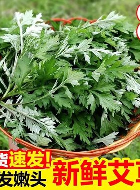 农家野生艾叶现摘现发
