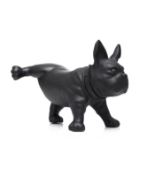 Черная моча собака Пелим в правой ноге