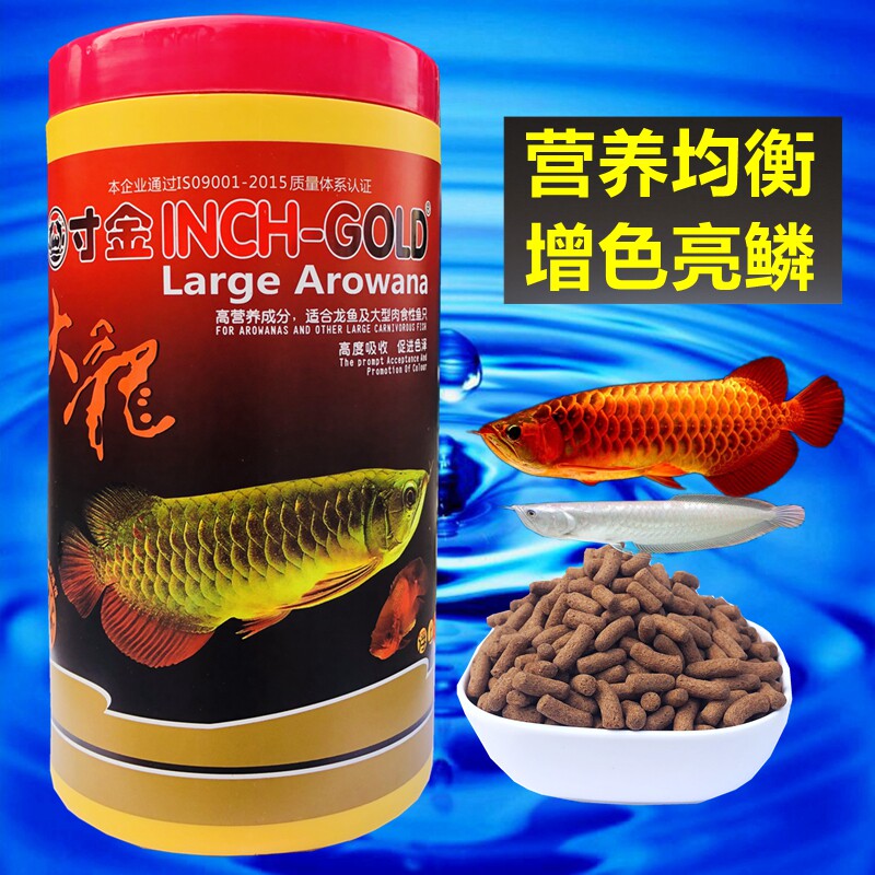 寸金龙鱼饲料银龙鱼专用鱼饲料