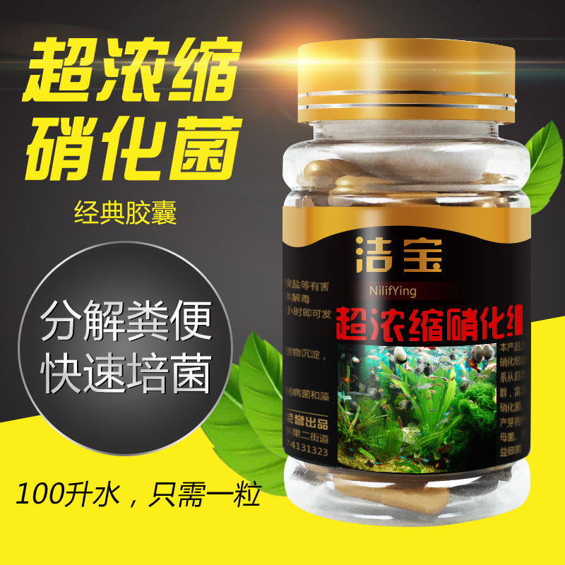 硝化细菌硝化菌消化细菌鱼缸净水剂养鱼用品鱼药水族水质稳定剂