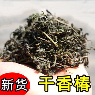 2025秦岭野生干香椿芽 新鲜腌菜春芽陕西农家可凉拌炒腊肉干野菜