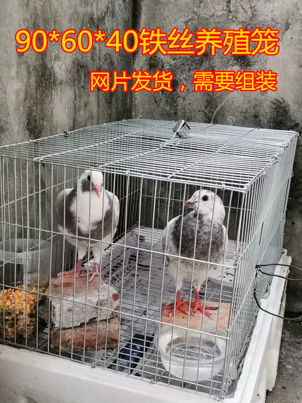 鸡笼 鸡笼子养鸡笼竹鸡笼家用大号养殖笼育雏鸡笼田鸡笼兔笼鸽笼