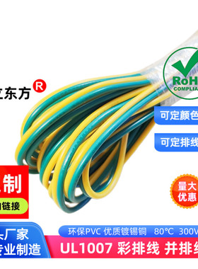 德立东方2P排线1007黄绿色双并线18AWG彩排线镀锡铜电箱接地线