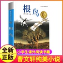 经典 费全套作品全集单本 图书籍 曹文轩系列原著纯美小说三4四5五六年级阅读课外阅读江苏少儿出版 社儿童文学 根鸟正版 免邮 完整版