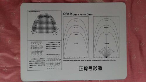 牙科 正畸弓形图 卵形图 标准 弓形弯制图