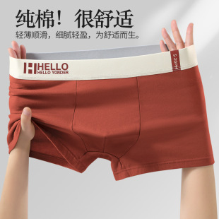 内裤 短裤 男纯棉平角裤 头男生大码 衩无痕 青年全棉质透气四角裤 男士