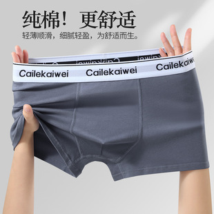 内裤 短裤 男纯棉平角裤 头男生大码 衩休闲 青年全棉质透气四角裤 男士