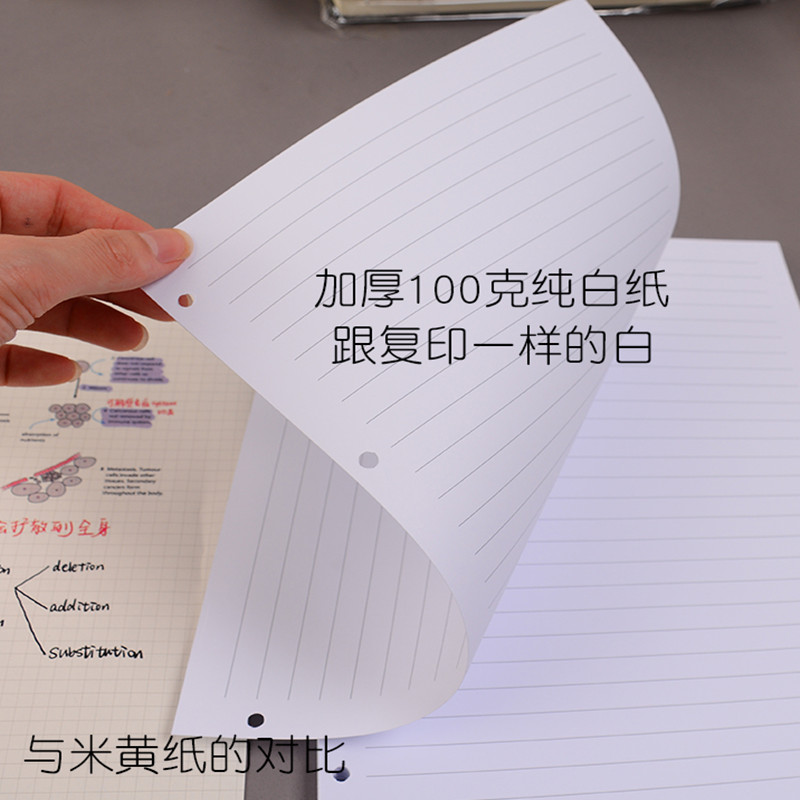 纯白色活页纸替芯10mm宽行A4四孔