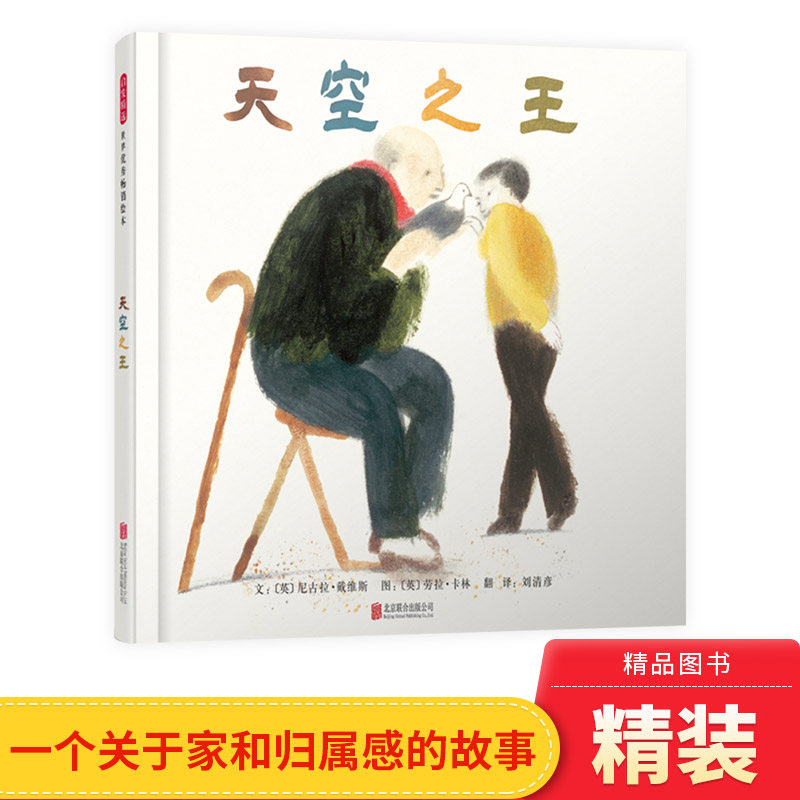 天空之王精装硬壳绘本图画书一个关于家和归属感的故事异地陌生环境