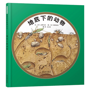 地底下的动物硬壳精装图画书启发绘本4岁以上亲子共读正版童书