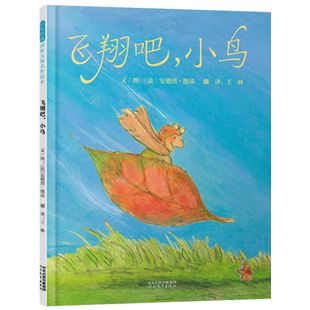 飞翔吧小鸟精装硬壳绘本图画书树叶侠男孩和受伤小鸟之间的一场意外而美丽的邂逅打造梦幻世界安德烈德昂作品启发童书馆出品正版