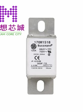 170M1518 170M1519 170M1521