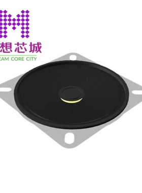 AS06608PS-2-R AS06608PS-R AS06608PS-WR-R