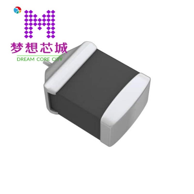 195D155X9010C2W 195D155X9010C2T 195D155X9010C4T