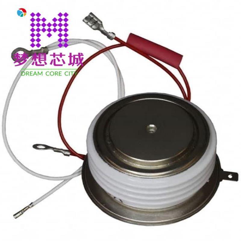 VS-ST303C12LFK0 VS-ST303C12LFK0L VS-ST330C12C1