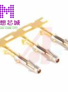 SS24W1F SS24W2F SS24W2T