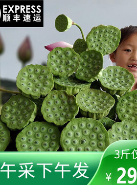 顺丰包邮现摘现发新鲜莲蓬湖南特产生吃莲子煮粥当季水果蔬菜2026