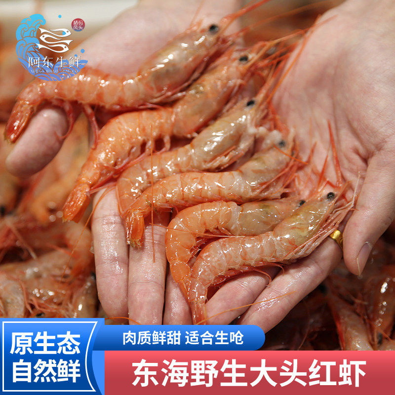 东海野生红头虾渔船海捕新鲜海虾3斤