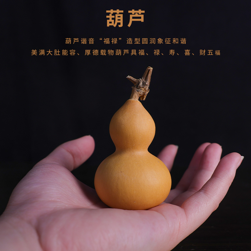 forsunny福三源葫芦天然生长