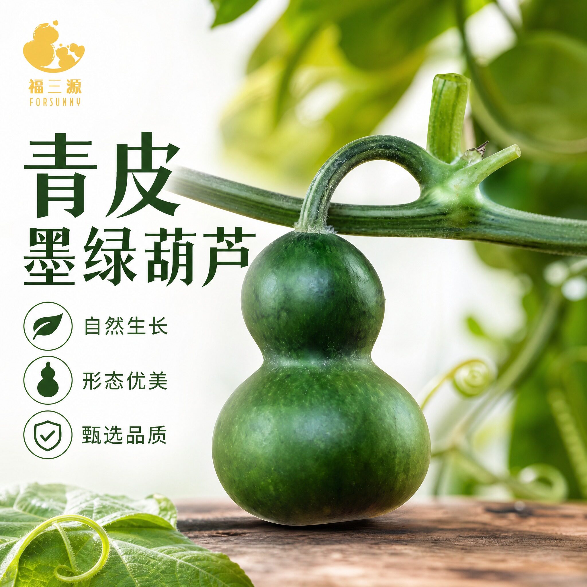 新鲜青皮小葫芦天然墨绿文玩真葫芦迷你小美国成品葫芦绿宝石翡翠