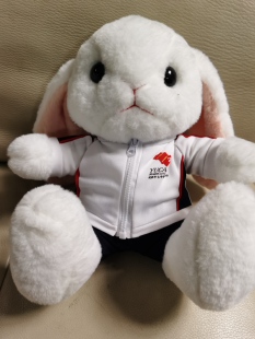 成都七中育才学校校服熊兔子熊猫（可定制定做各个学校的校服熊）