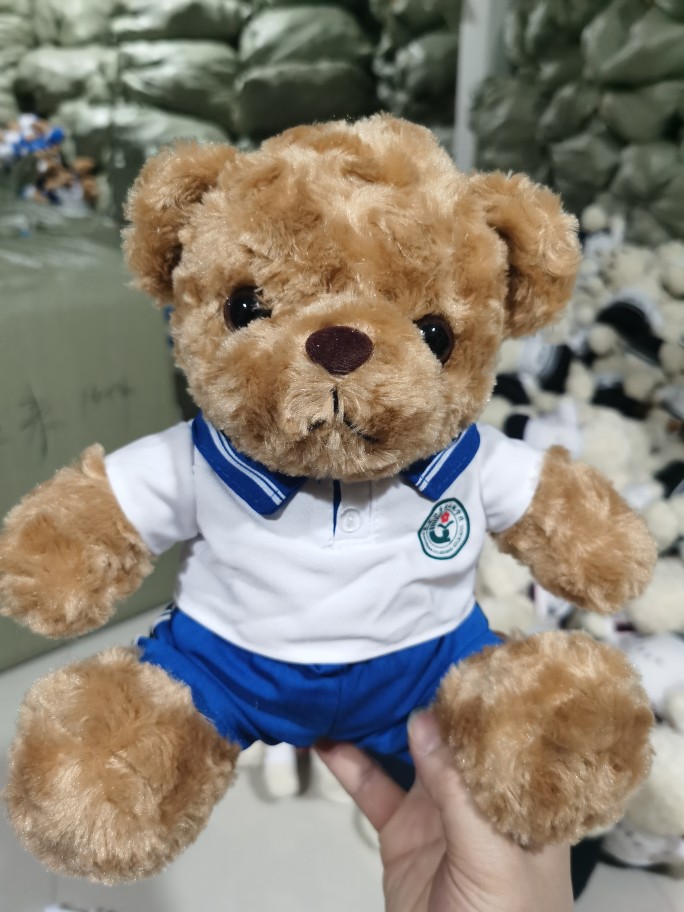 东莞中学松山湖学校校服熊公仔娃娃