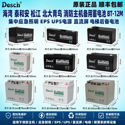 消防主机UPS应急报警备用蓄电池