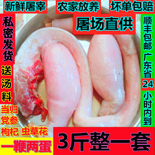 牛鞭新鲜3斤整套送汤料顺丰速运
