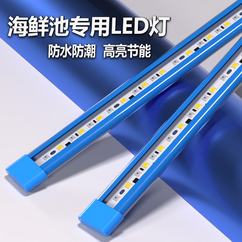 海鲜池专用LED灯鱼缸照明灯