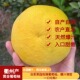 果农直供黄金葡萄柚新鲜直达皮薄肉嫩爆汁爽嫩超甜健康鲜果优选