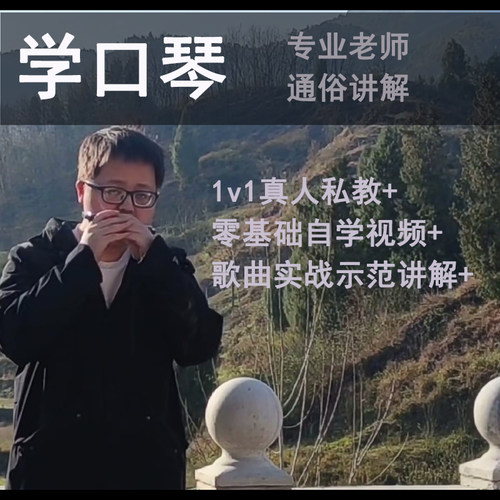 口琴视频教程零基础入门一对一教学初学者自学网课私教在线上课程