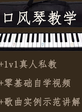 口风琴视频教程1对1陪练入门小学生乐器教学课程辅导初学在线指导