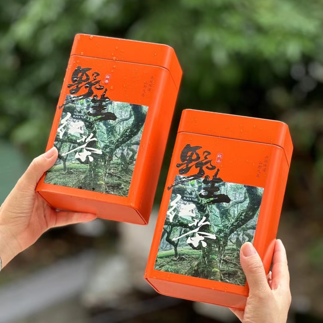 德国工艺2025年新茶红茶正山小种武夷荒山小种红茶花果香蜜桃香罐