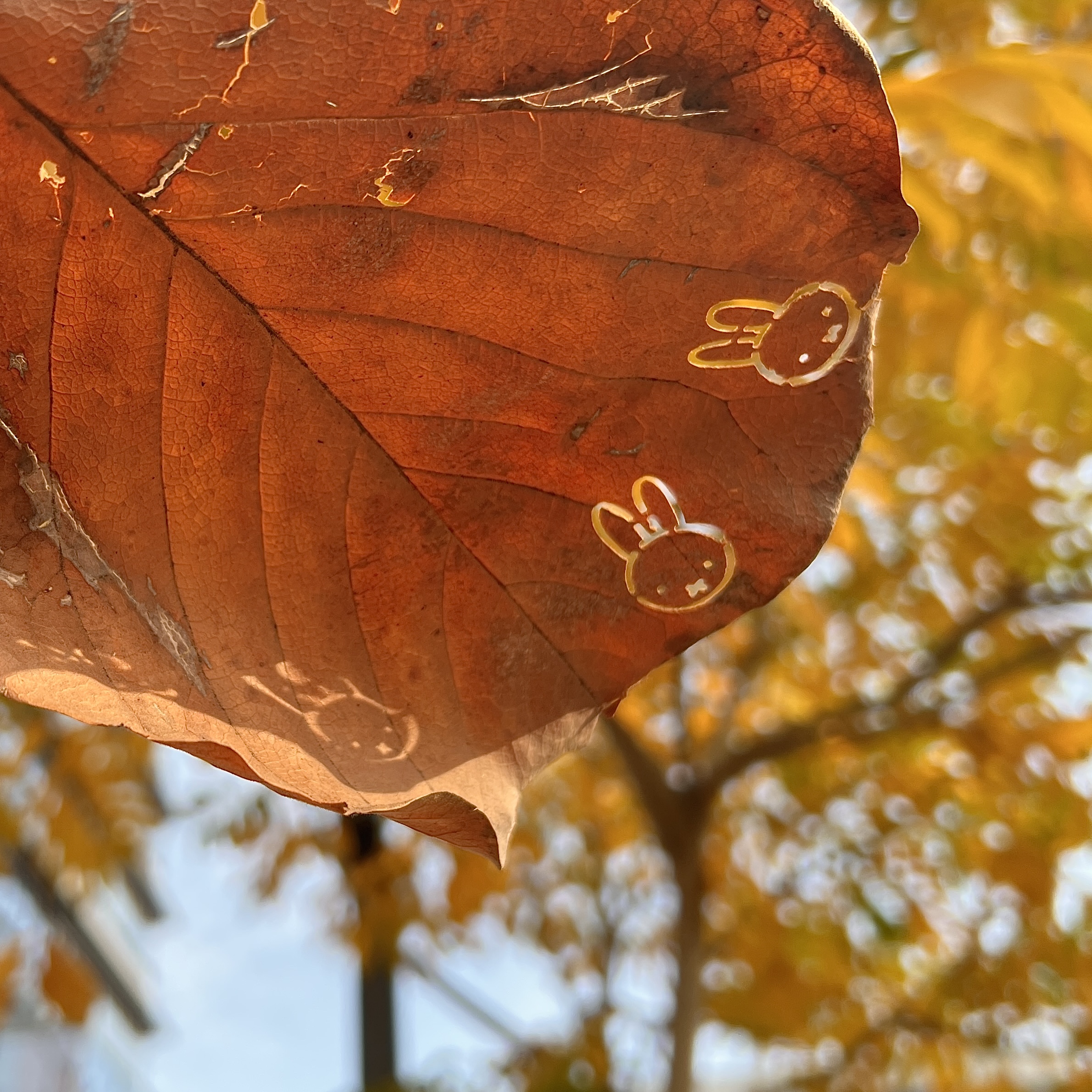 米菲兔压花器镂空压花手账印花机